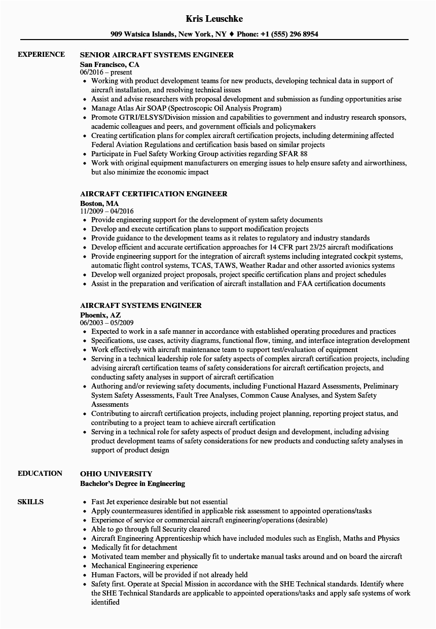sample resume for b1 visa application