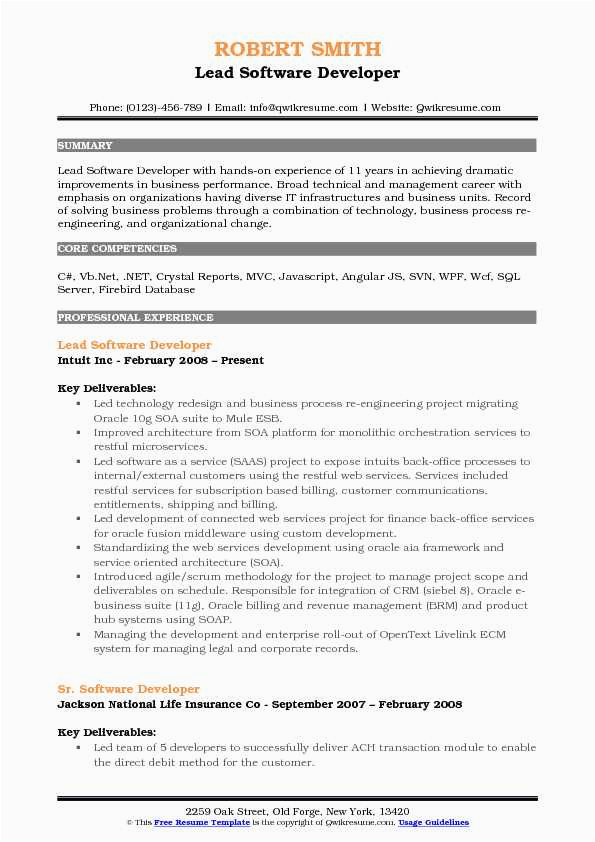 asp net mvc developer resume