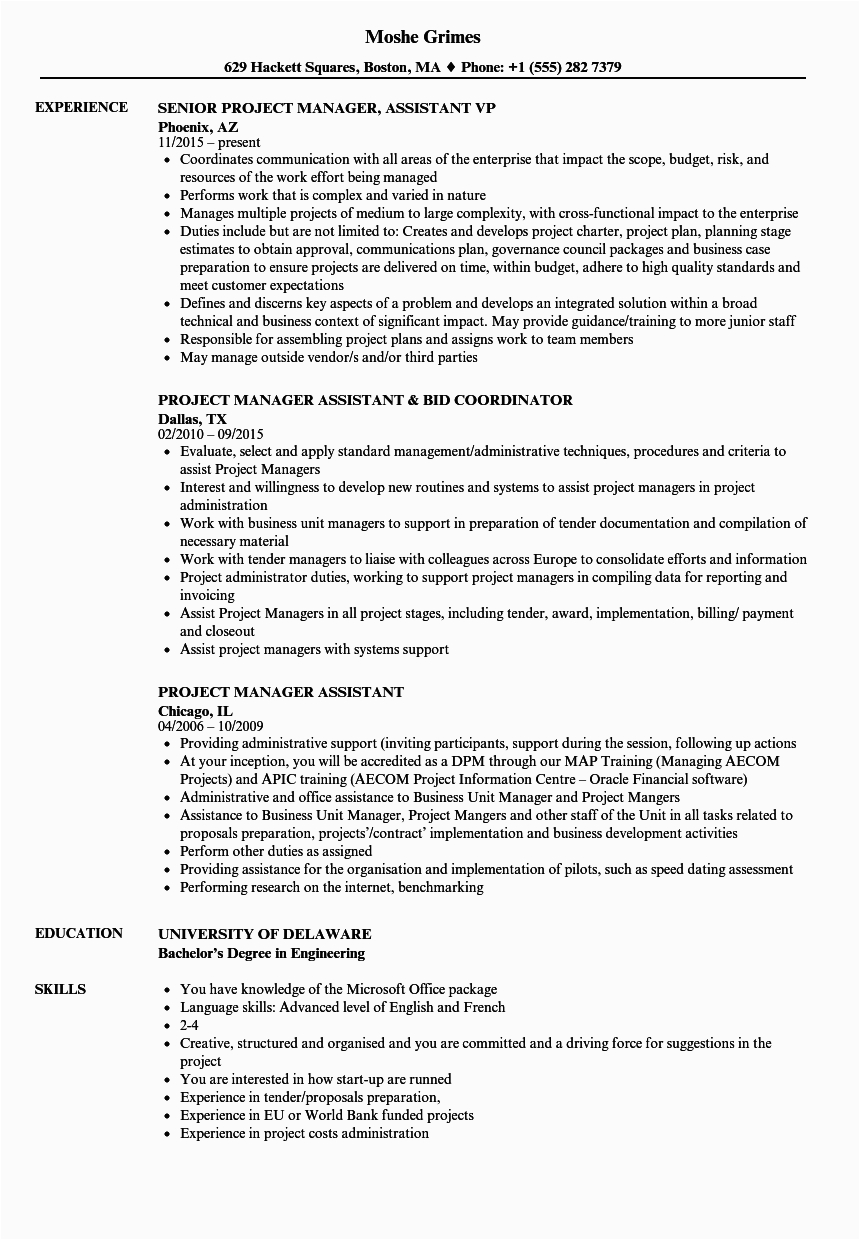 great assistant project manager cv example