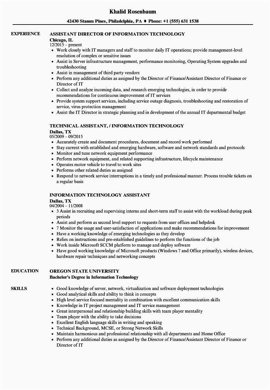 information technology resume template