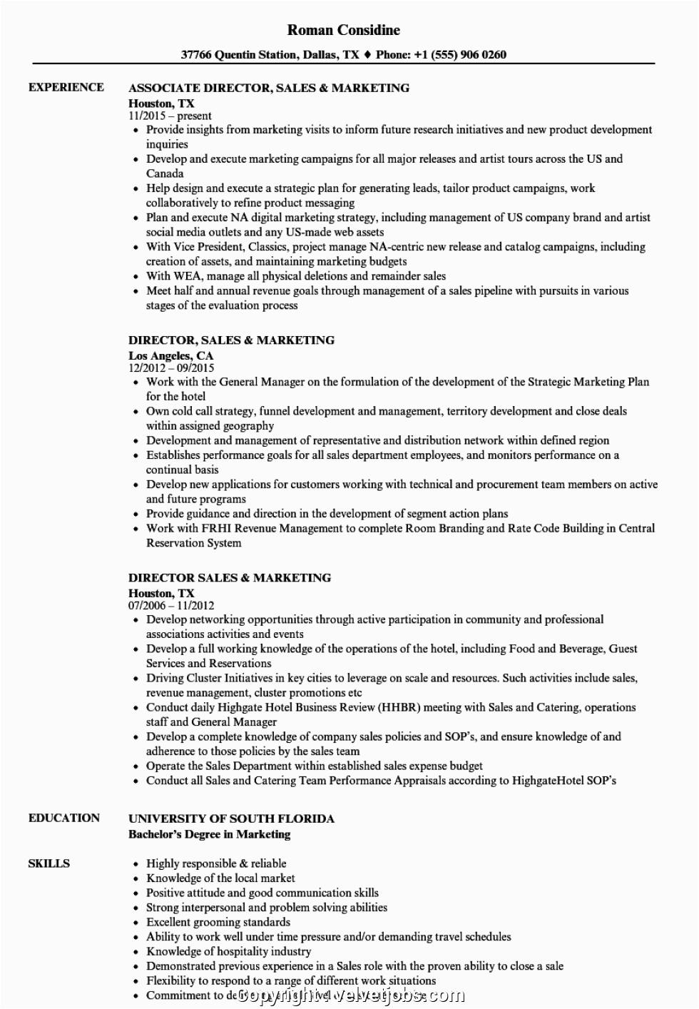 best director of sales and marketing resume