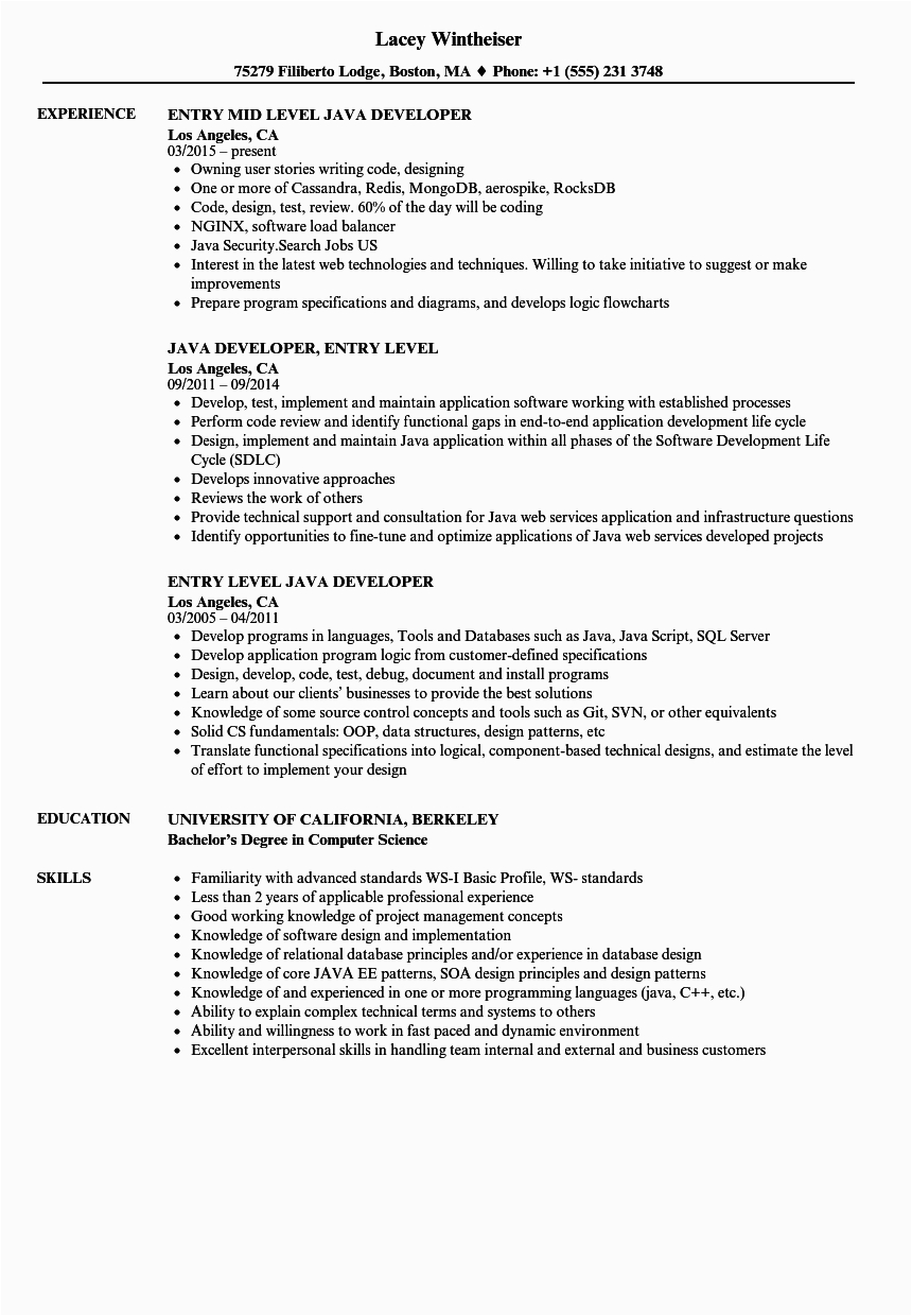 Mid Level Net Developer Resume Sample Resume Examples Java Developer