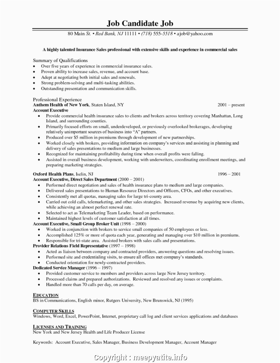 professional sales manager insurance resume