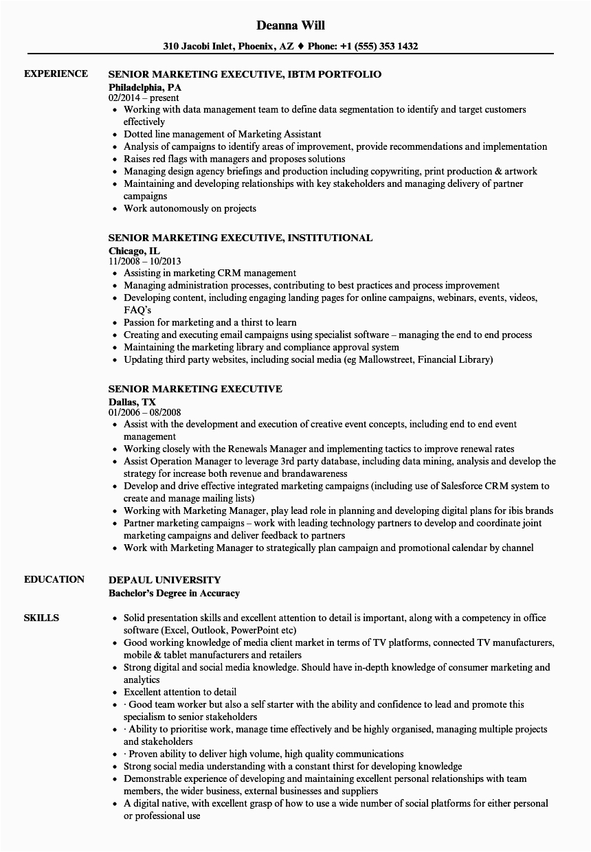 senior marketing executive resume sample