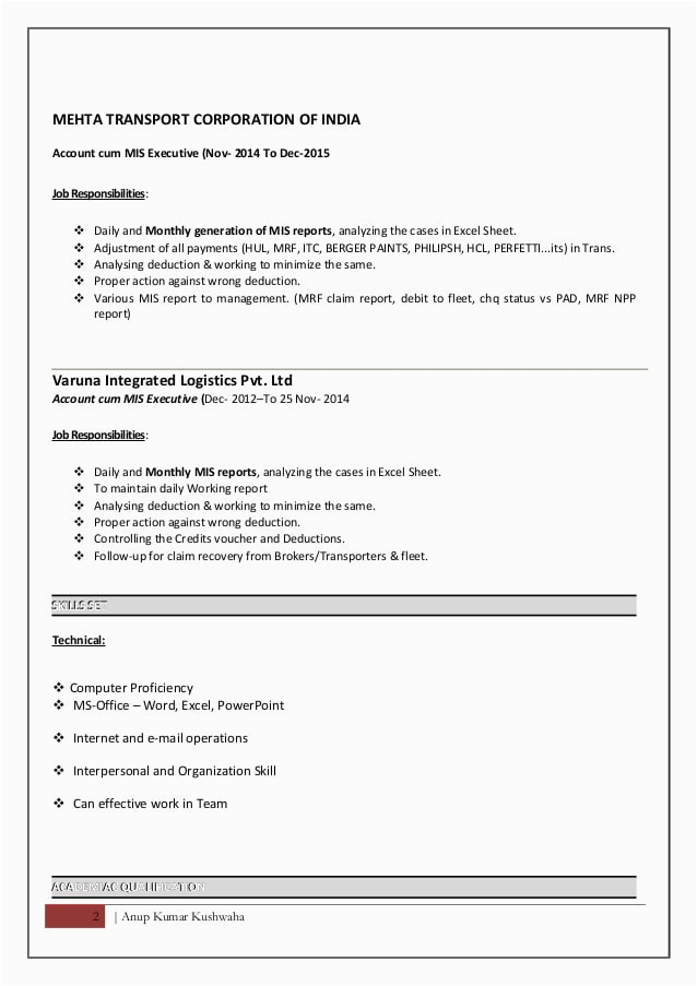 resume format for mis executive