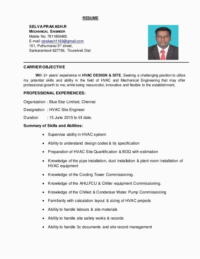 1 year experience resume sample for