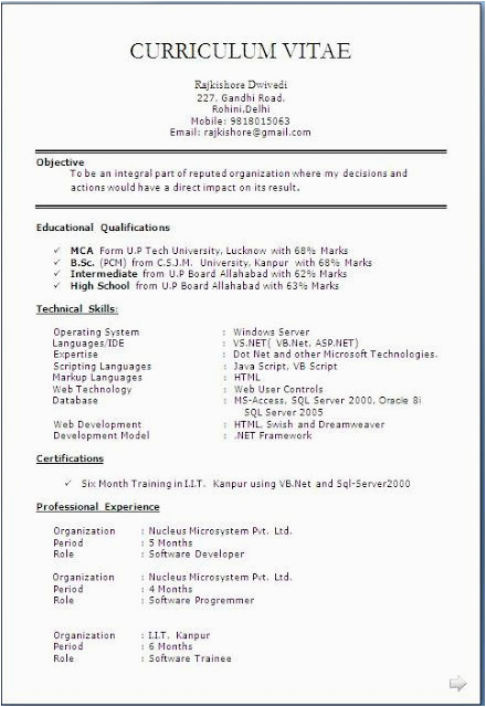 graduate fresher resume resume format