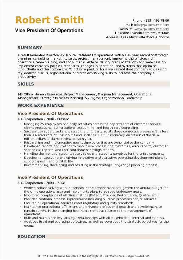 vp operations resume examples
