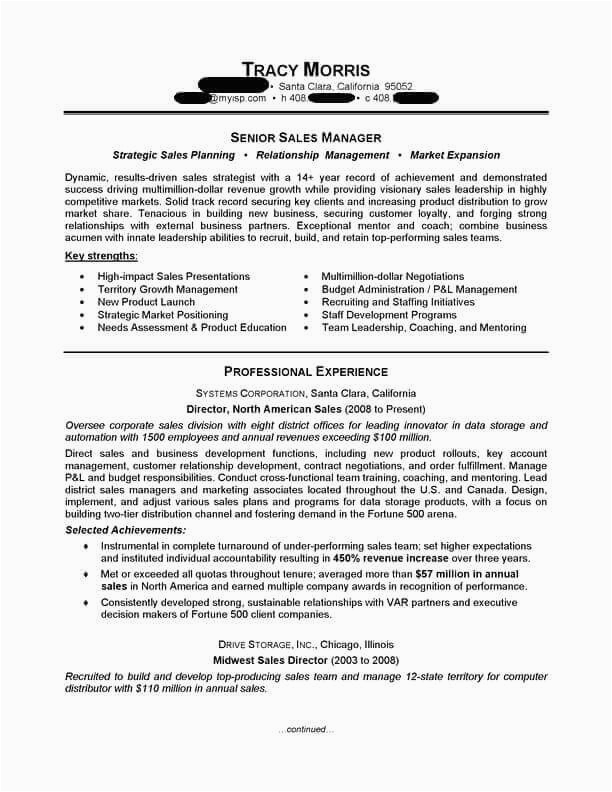 Sample Resume Headline for Sales Manager Sales Manager Resume Sample