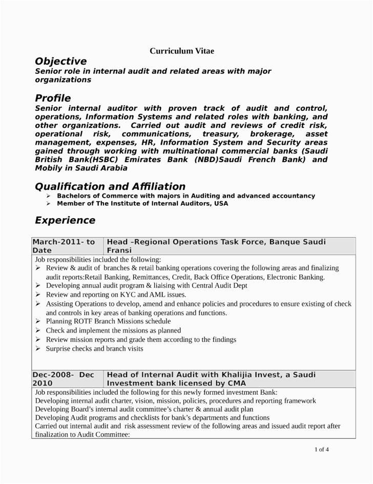 professional internal auditor resume templates and samples