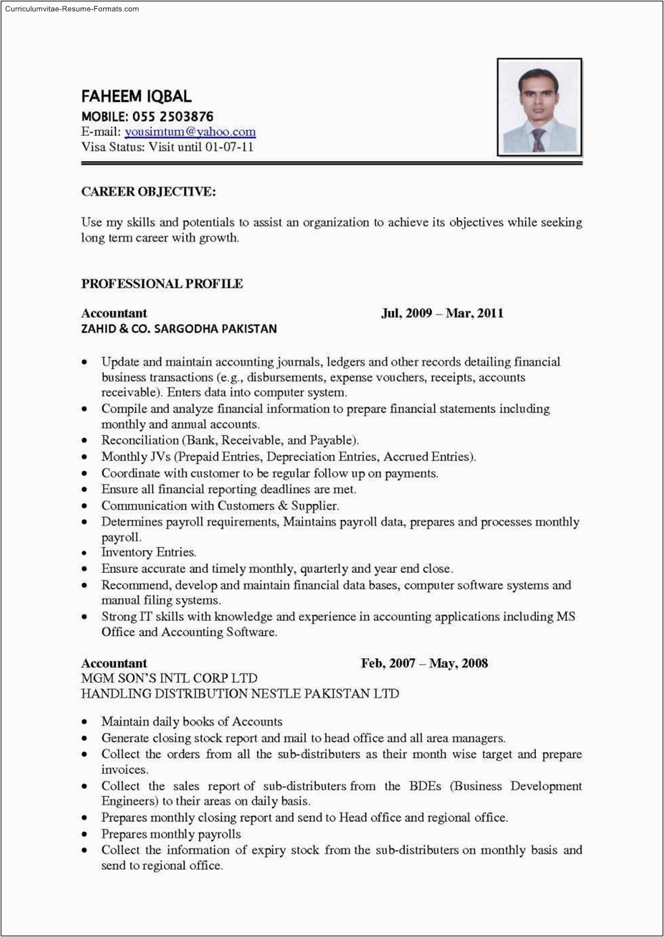 best resume template to use