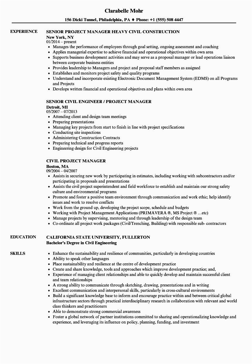 Civil Project Manager Resume Sample India √ 25 Engineering Project Manager Resume