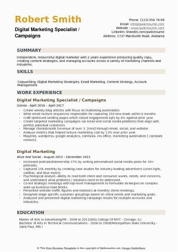 digital marketing resume template free