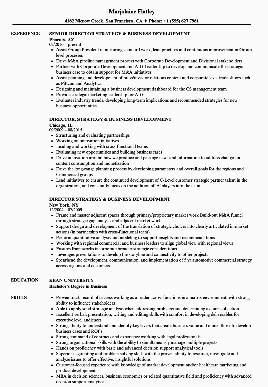 business development resume