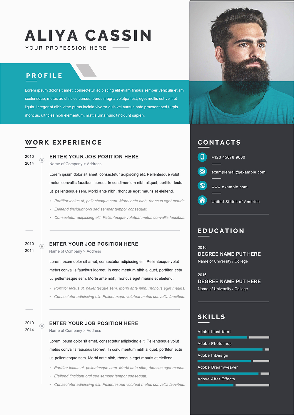 modern curriculum vitae template