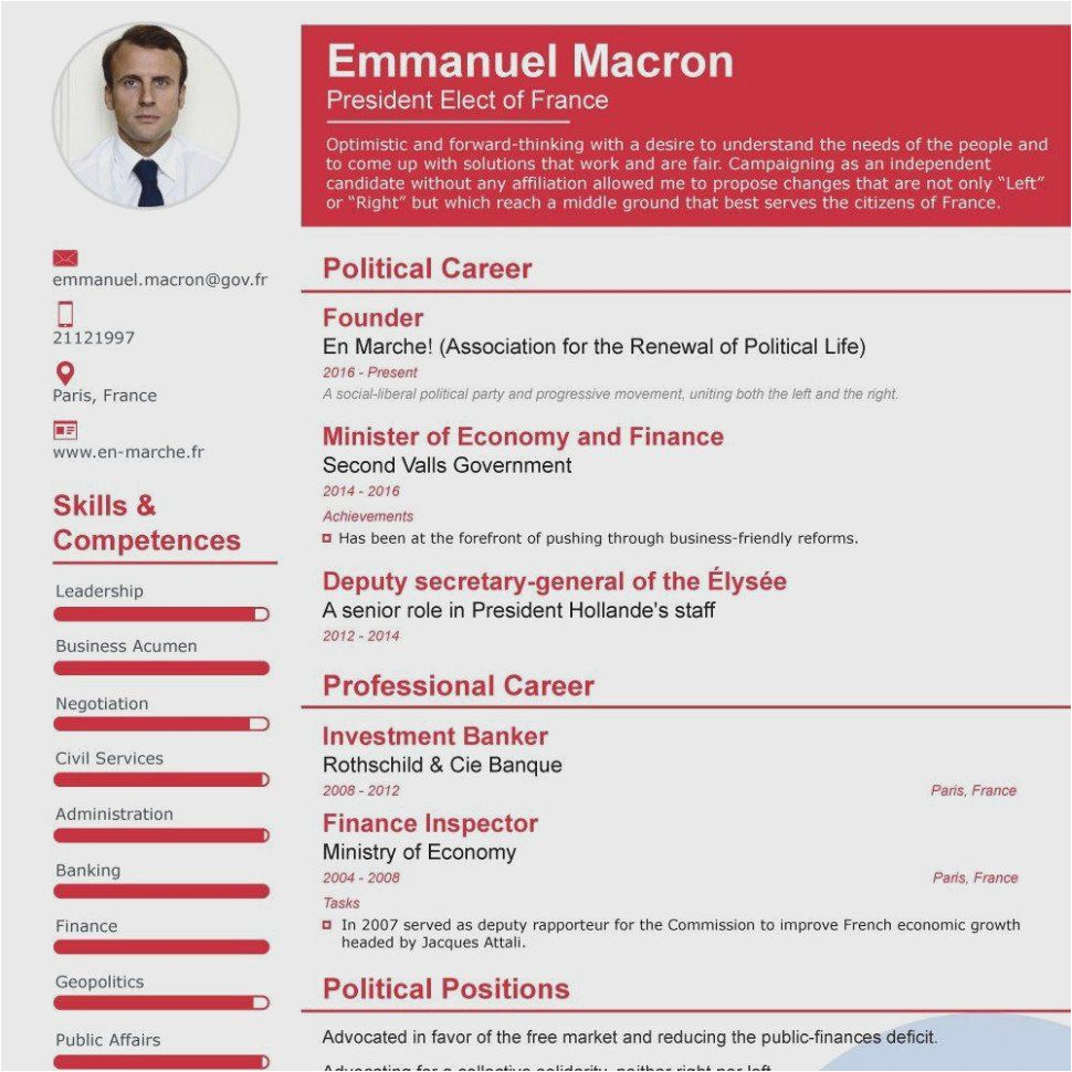 elon musk cv template resume