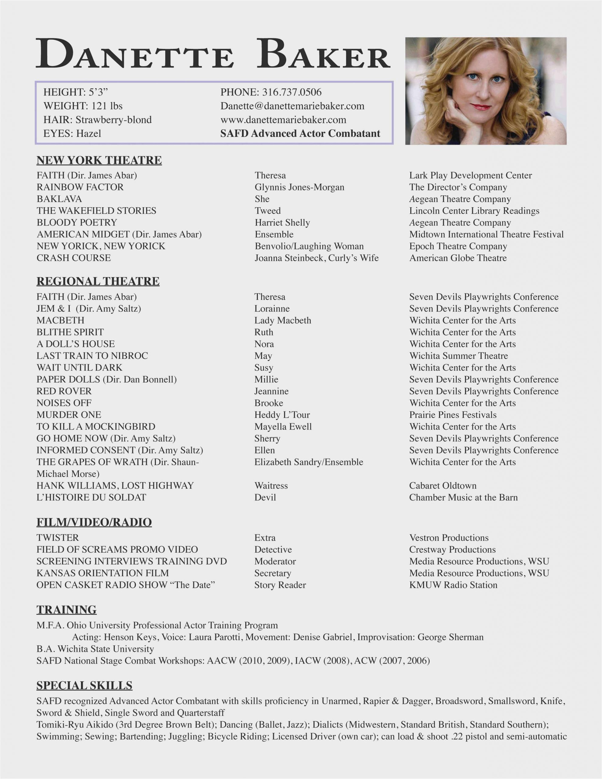 elon musk resume