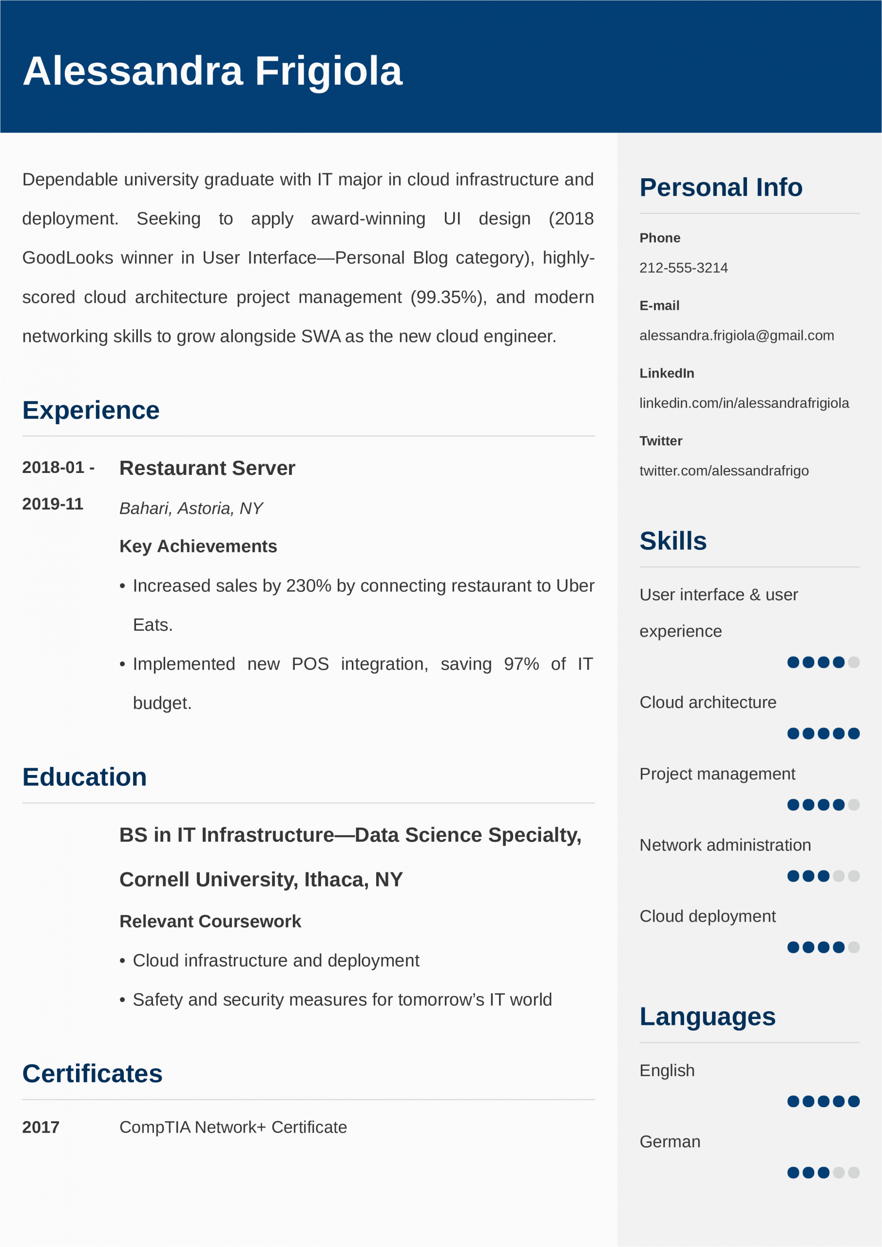good cv examples for first job database