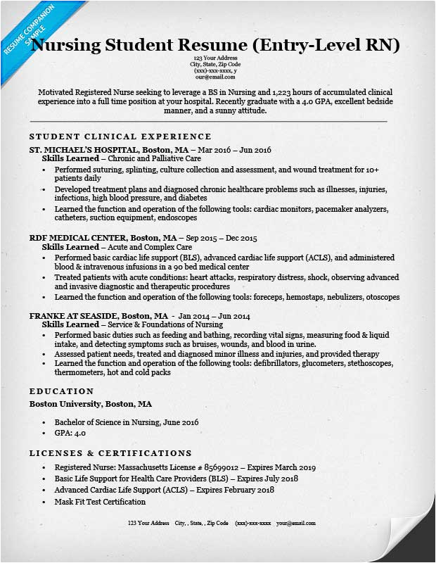 entry level nursing student resume sample