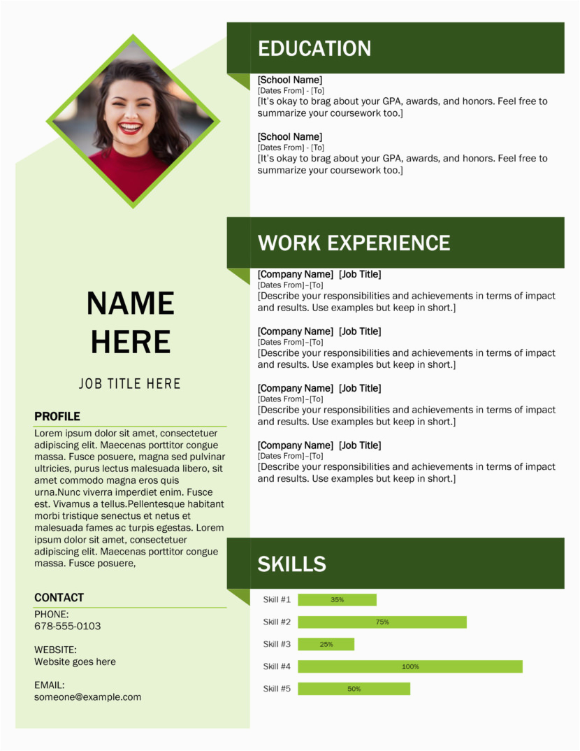 amazing new resume format ms