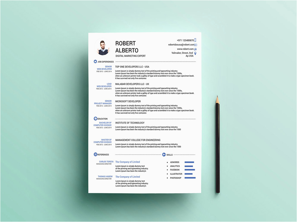 marketing cv template