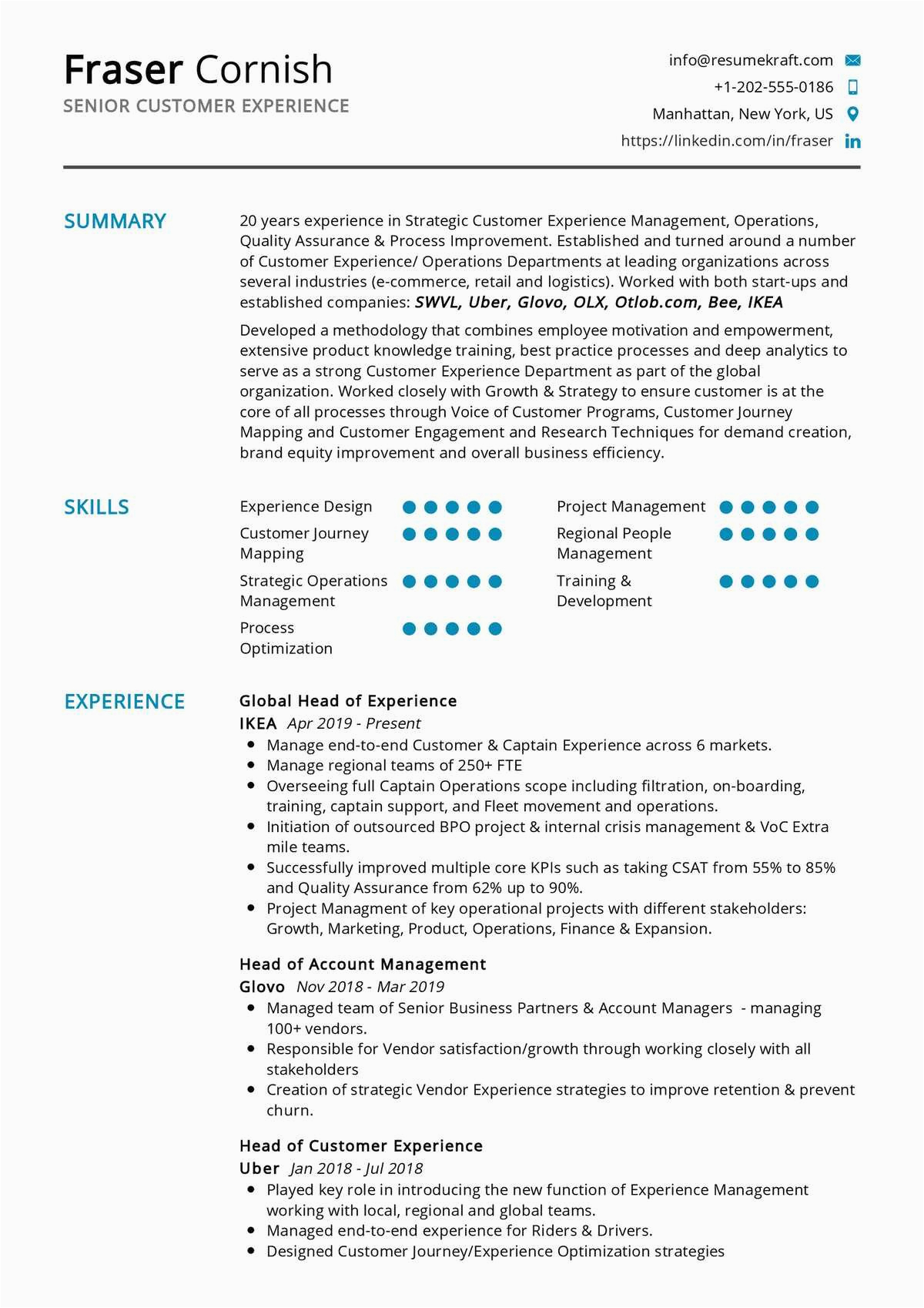 senior customer experience resume sample