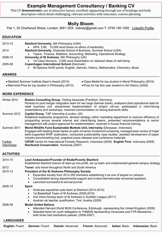 financial accountant resume templates