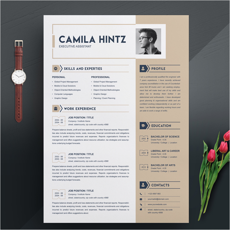 resume cv templates