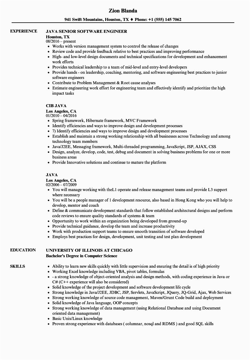 java resume sample