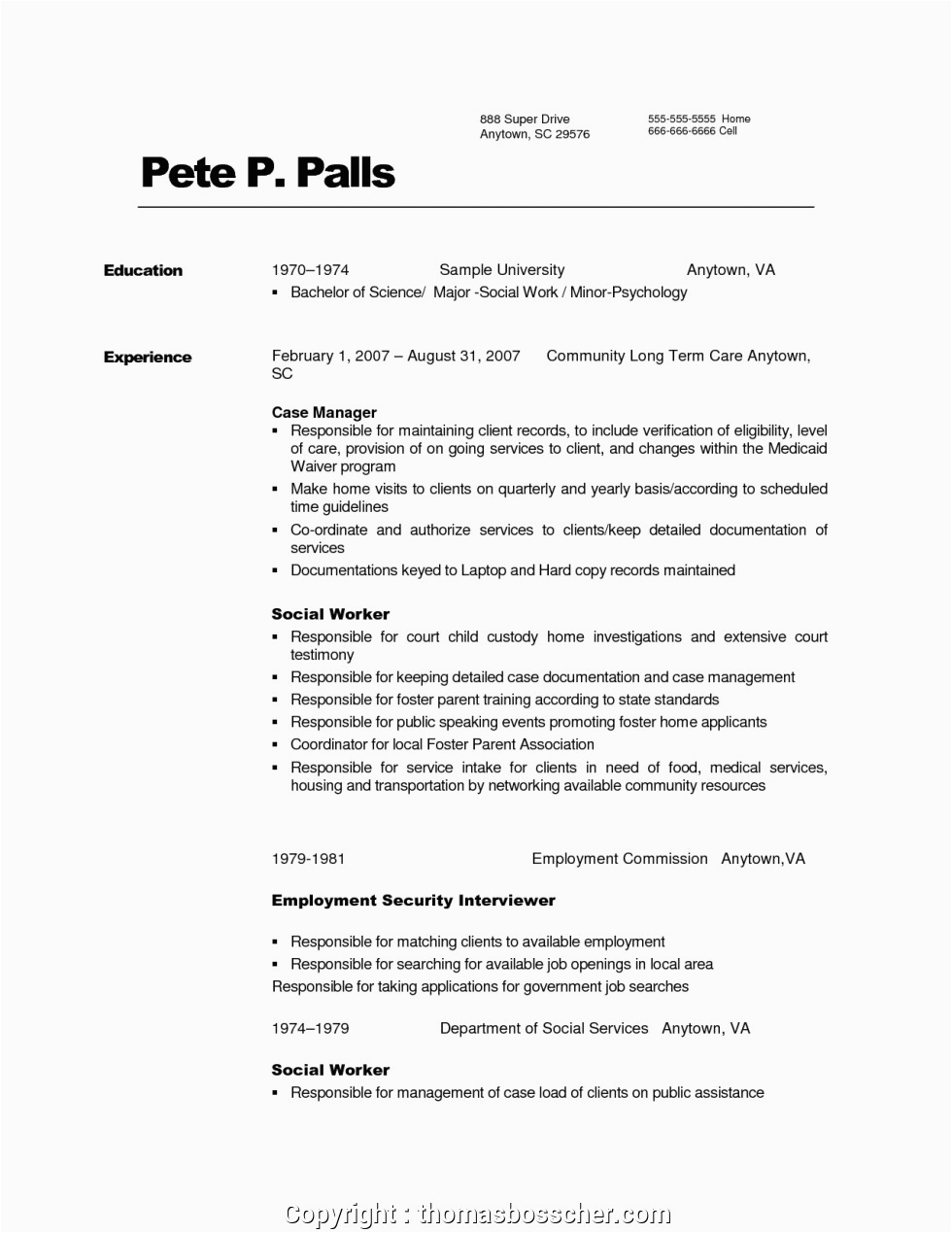 professional welfare case manager resume
