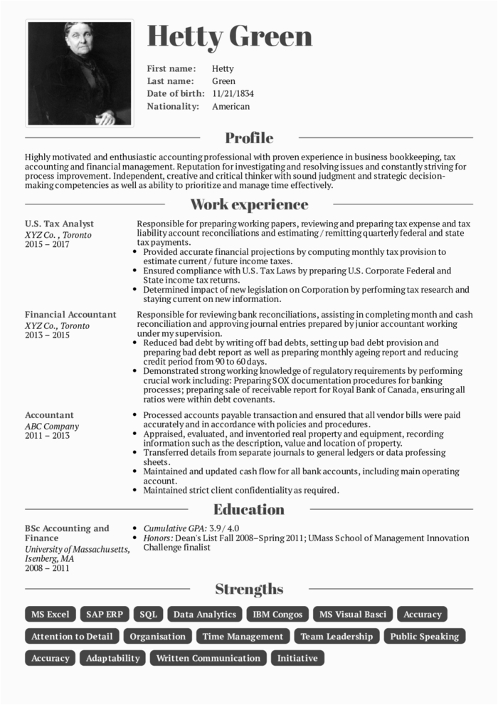 accountant cv resume examples