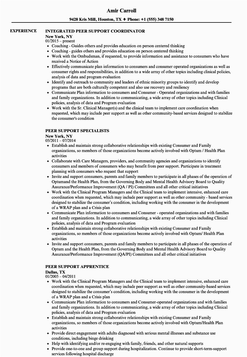 peer support resume examples