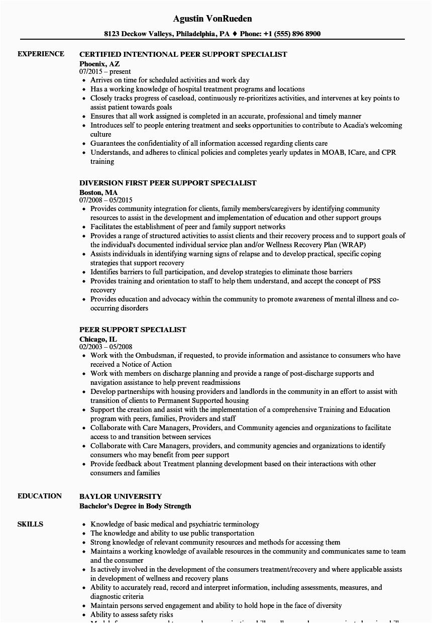 peer support substance abuse resume