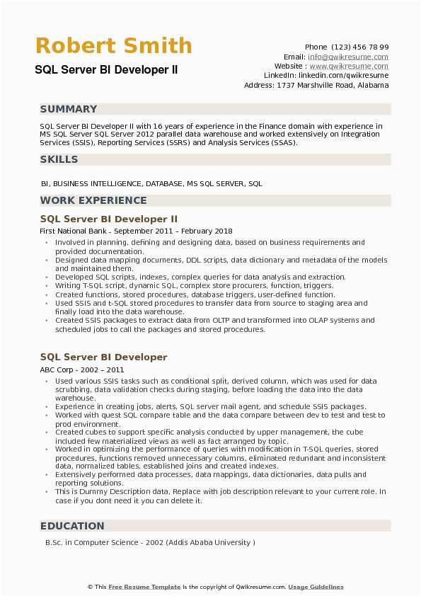 power bi developer resume