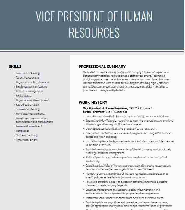 vice president of human resources 29c566e37a034fc892c5394fb5f12f23