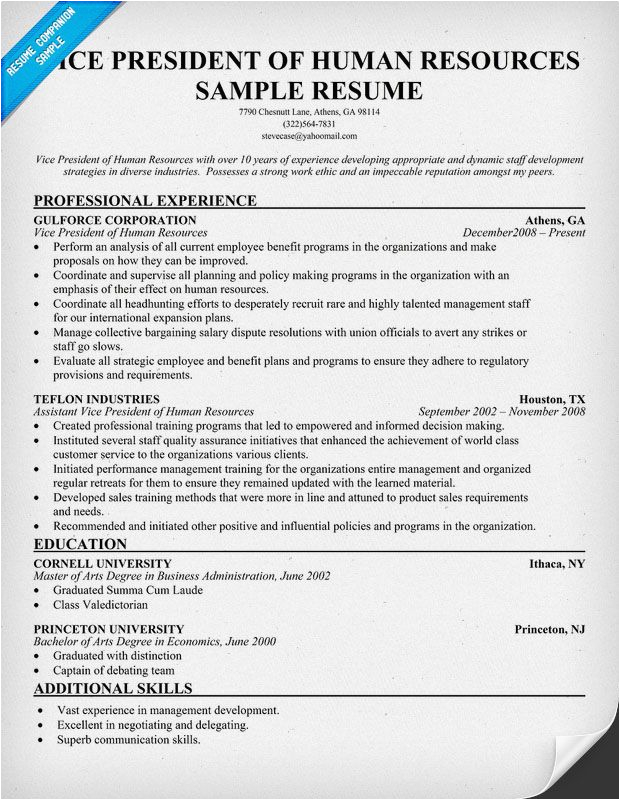 Vice President Of Human Resources Resume Sample Vice President Human Resources Resume Resume Panion