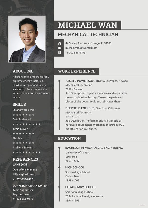word professional resume