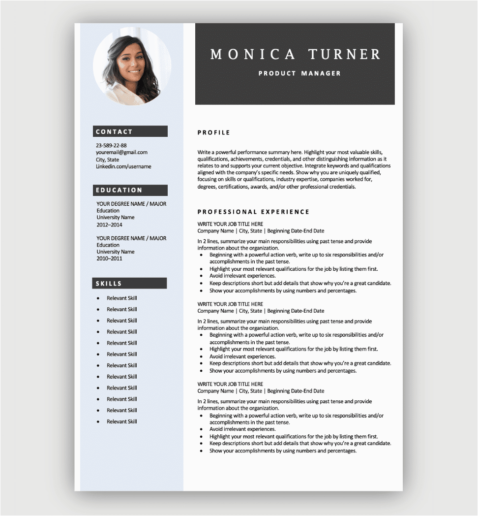 free professional resume blue