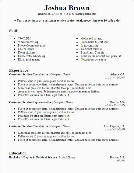 Free Resume Template with Skills Section Skills Based Resume Template Free Awesome Bold