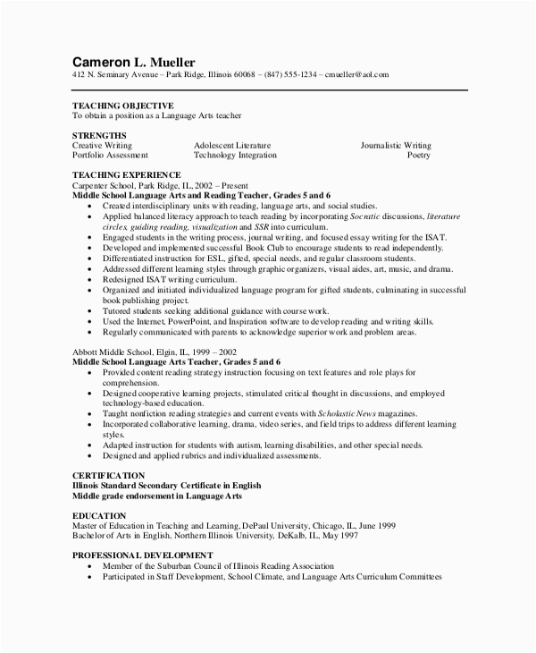 professional resumes