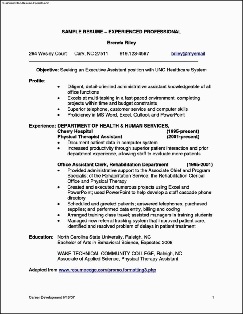 resume templates for experienced professionals