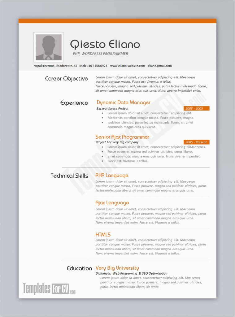 developer software engineer resume templates