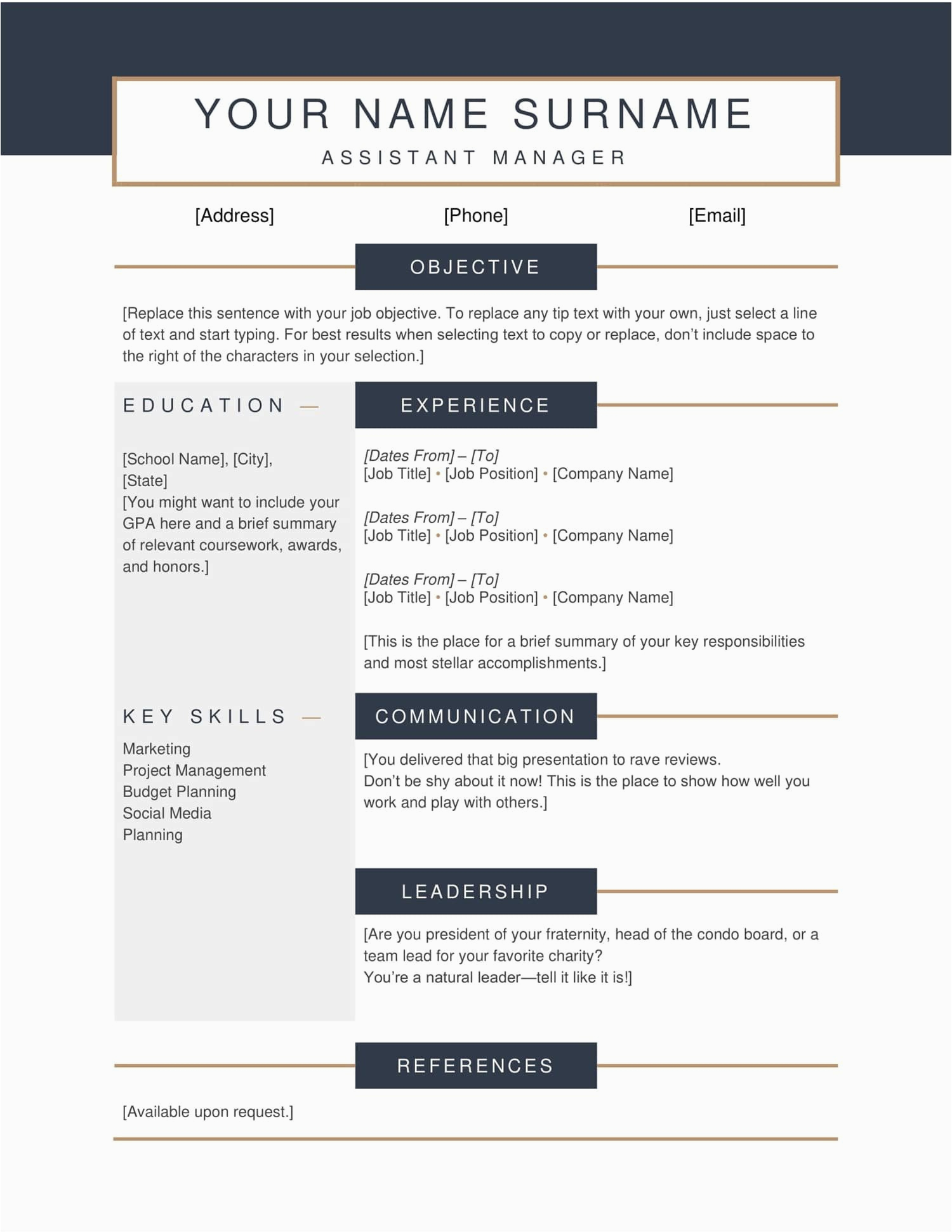 resume templates that i can copy and paste