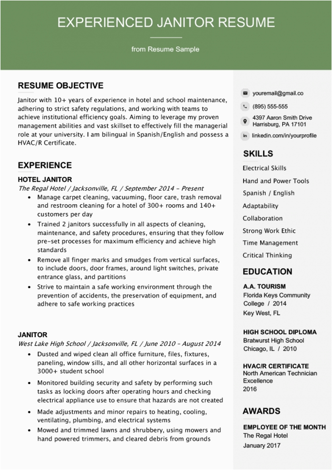 professional experience resume example