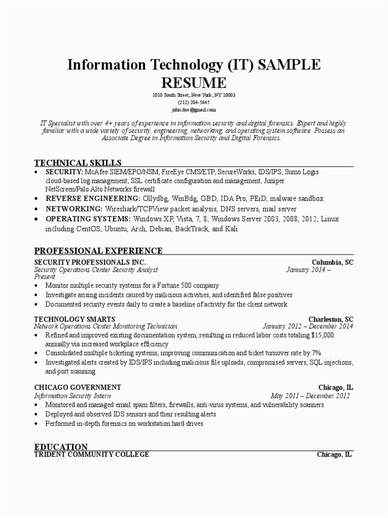 Information Technology IT Resume Sample 1