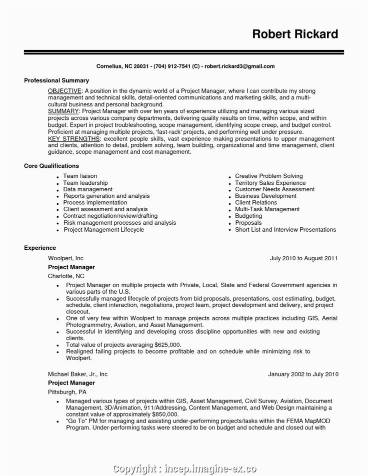 resume templates for someone with no