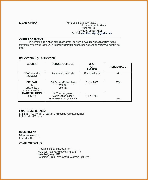 bsc fresher resume format