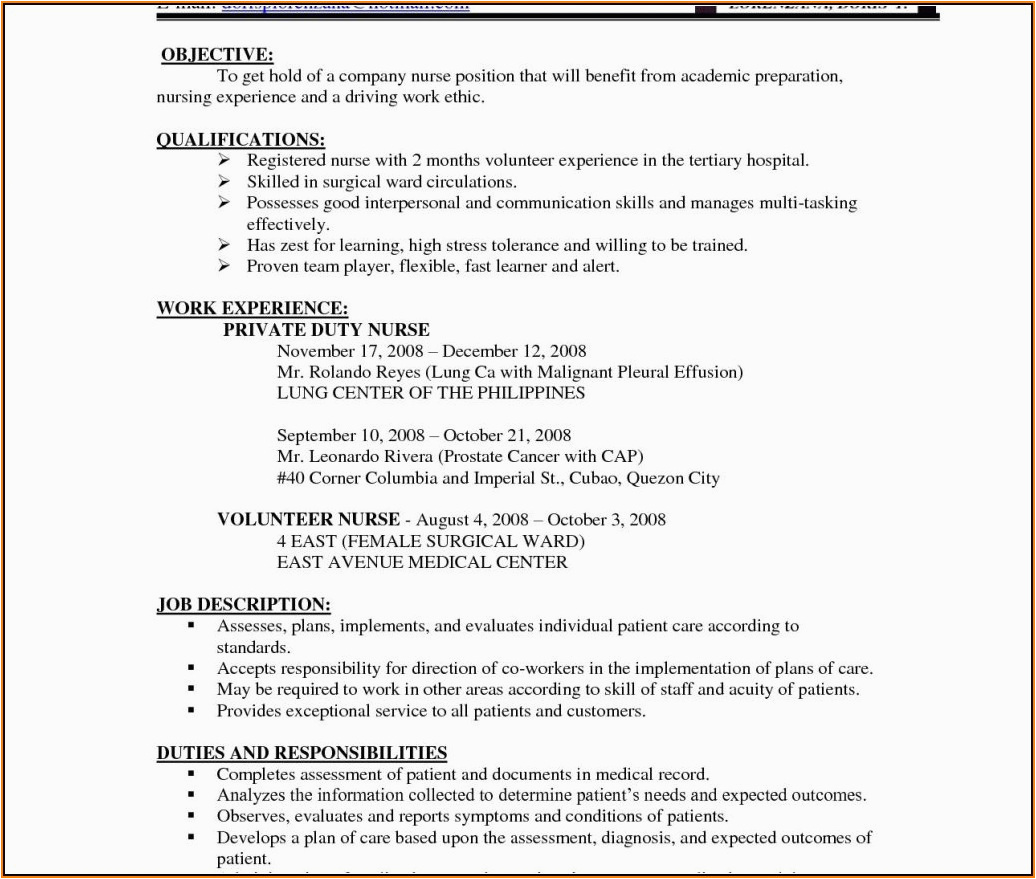 bsc nursing fresher resume format