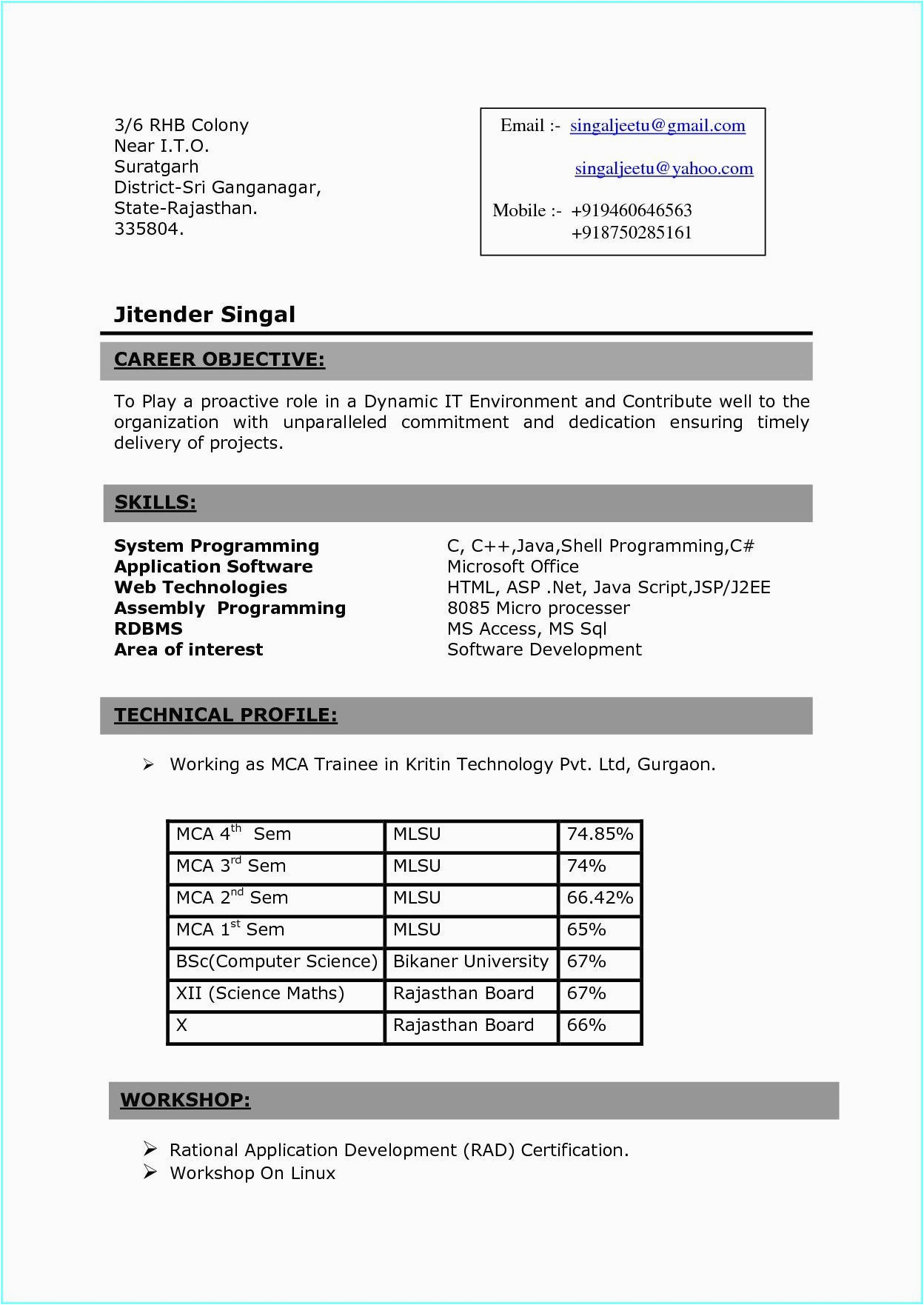 pdf fresher resume format