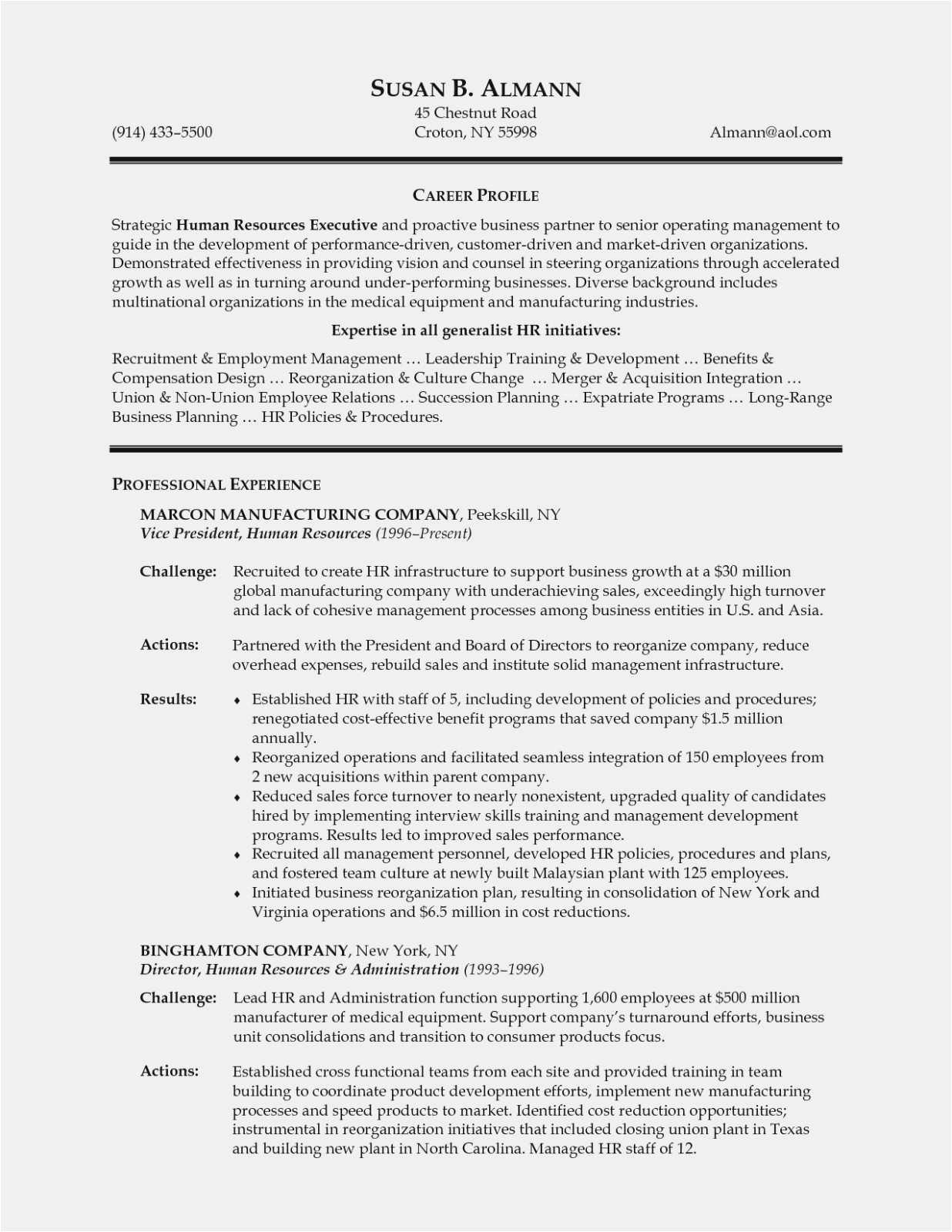 Vp Of Human Resources Resume Sample 11 Various Ways to Do Vice President Human Resources